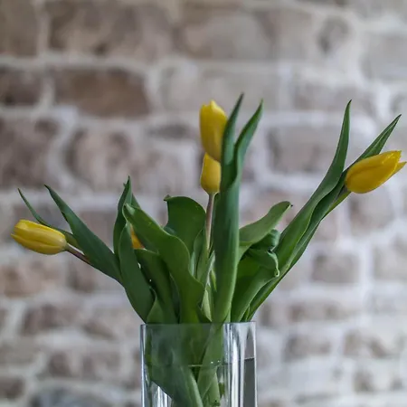 Apartamento Deziderio *